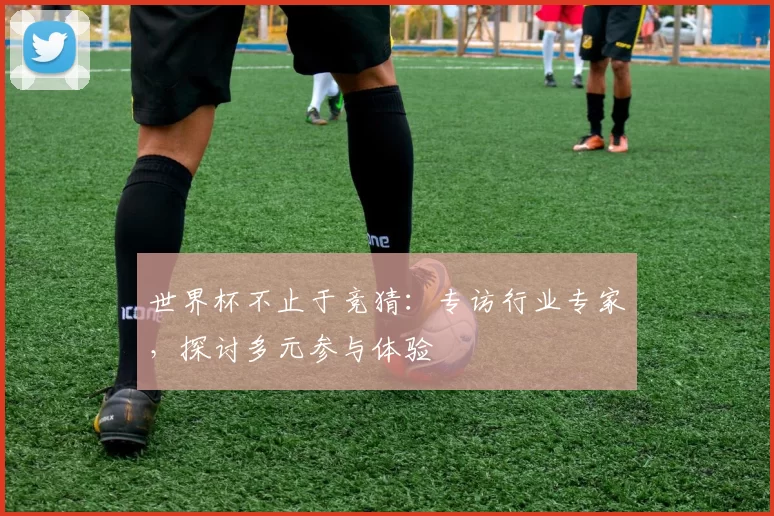 世界杯不止于竞猜:专访行业专家,探讨多元参与体验