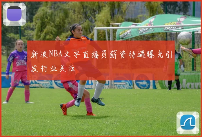 新浪NBA文字直播员薪资待遇曝光引发行业关注