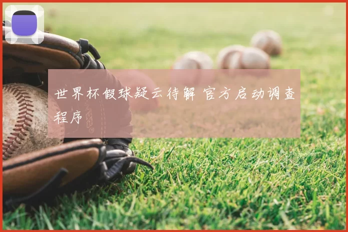 世界杯假球疑云待解 官方启动调查程序