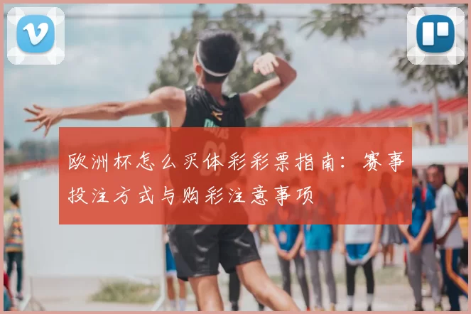 欧洲杯怎么买体彩彩票指南：赛事投注方式与购彩注意事项