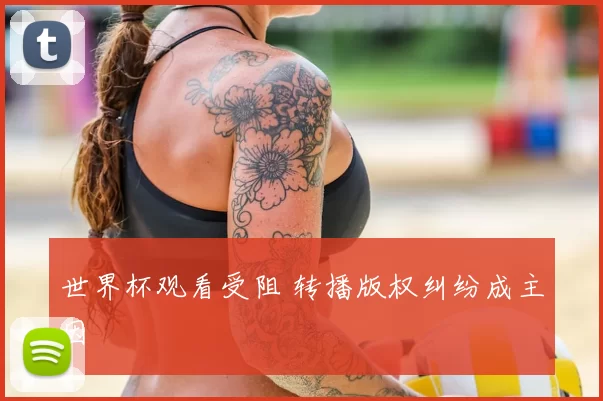 世界杯观看受阻 转播版权纠纷成主因