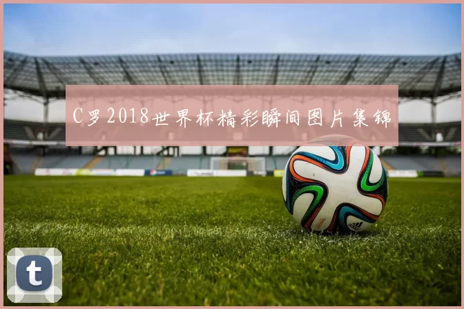 C罗2018世界杯精彩瞬间图片集锦