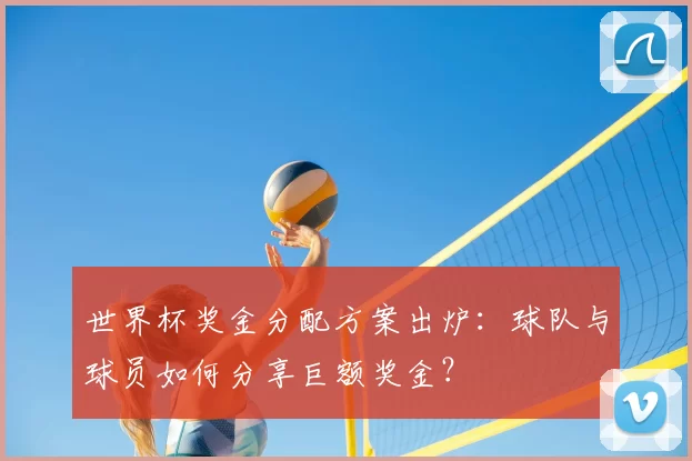 世界杯奖金分配方案出炉:球队与球员如何分享巨额奖金?